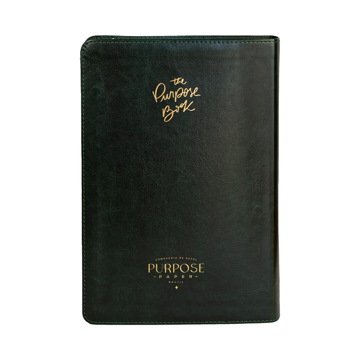 Bíblia Vitral - Couro Verde Flexivel - The Purpose Book